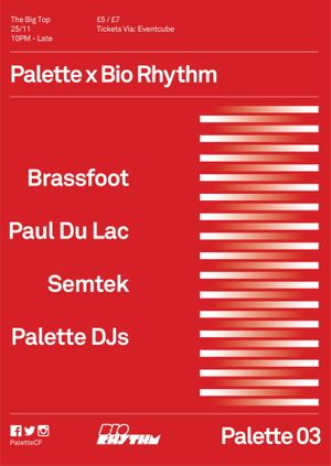 Palette x Bio Rhythm