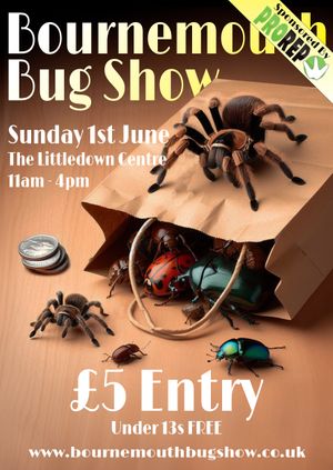 Bournemouth Bug Show 2025