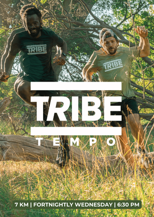 TRIBE Tempo | 7KM Social 