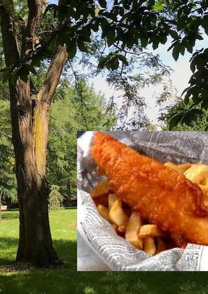 Fish & Chips Friday