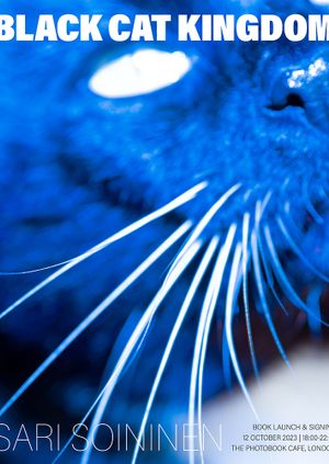 Black Cat Kingdom by Sari Soininen