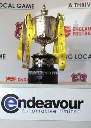 Endeavour Automotive Suffolk Premier Cup Semi Final - Leiston v AFC Sudbury