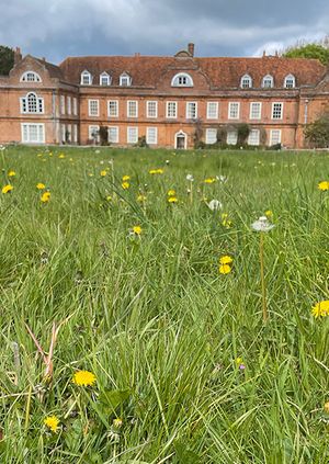 Guided walk & lunchtime talk with concert
