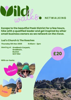 Wild Walks Netwalking - Lud's Church & The Roaches, Peak District