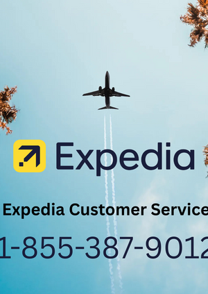 Ways to Reach Expedia Customer Service by Phone Number, Chat, and Email: A Comprehensive Detailed Guide
