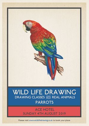 Wild Life Drawing: Parrots