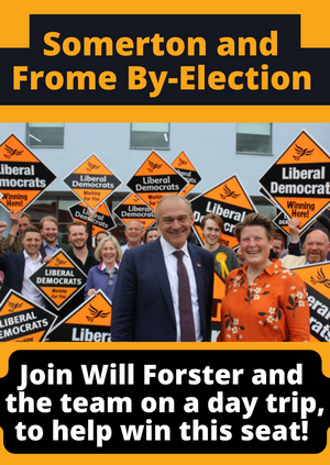 Woking hits Somerton & Frome By-Election!