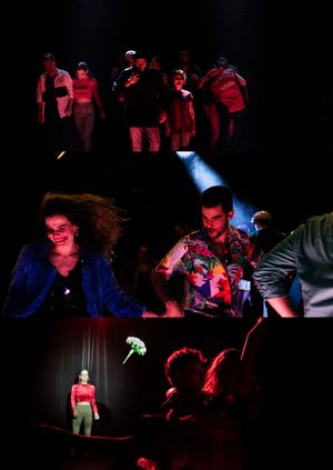 Carlo Goldoni: A chioggiai csetepaté