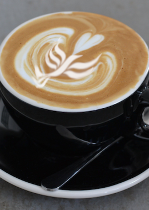 Trafford Lib Dems August Coffee Morning