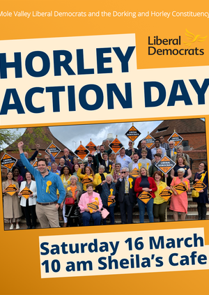 Horley Action Day