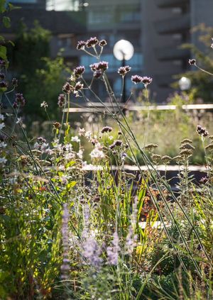 What are Gardens For? Chelsea Fringe Panel Discussion