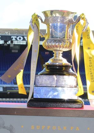 Total Football Junior Cup FINAL - Mutford & Wrentham vs Stowupland ...