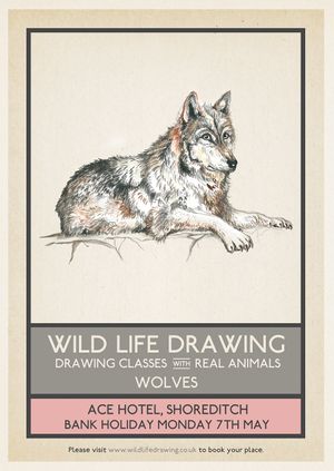 Wild Life Drawing: Wolves