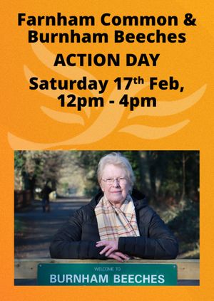 Burnham Action Day