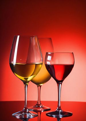 Wine-tasting with Helen Morgan MP