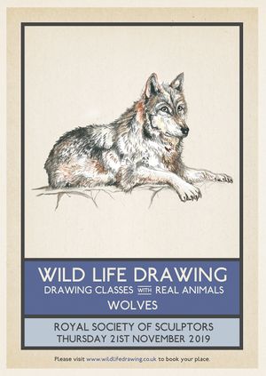 Wild Life Drawing: Wolves