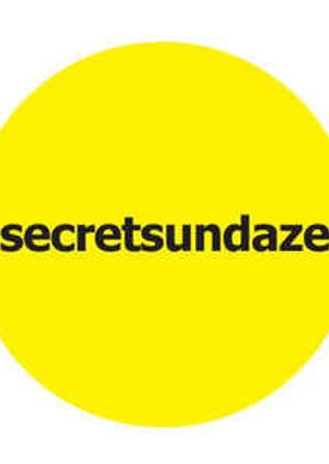 We Should Hang Out More with Secretsundaze