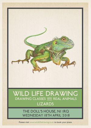 Wild Life Drawing: Lizards