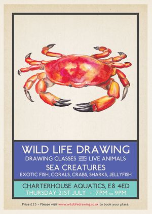 Wild Life Drawing: Sea Creatures