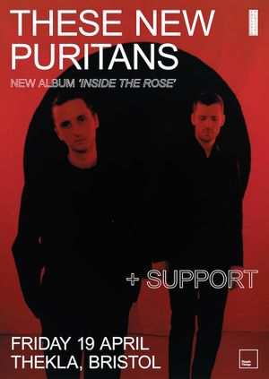 These New Puritans - Live at Thekla, Bristol