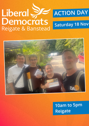 Reigate Action Day