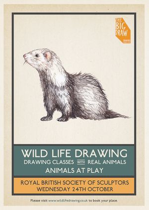Wild Life Drawing x Big Draw: Animals at Play