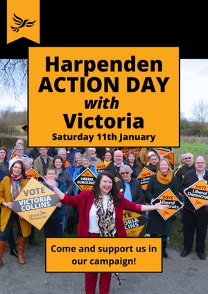 Harpenden Action Day!