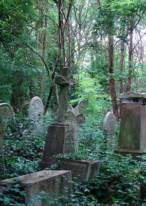 Walking Tour: Dark London: Gothic Evening Tour of Abney Park Cemetery
