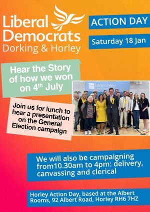 Horley Action Day