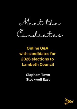 Meet the Candidates: Online Q&A (CLT & STE)