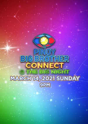 Pinoy Big Brother Connect Big Night