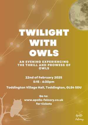 Twilight With Owls