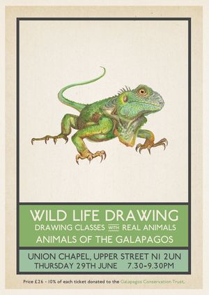 Wild Life Drawing: Animals of the Galapagos