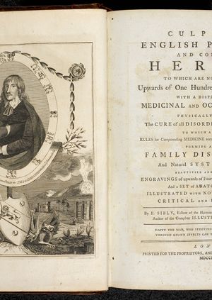 The Healing Garden with Sue Minter