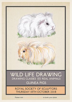 Wild Life Drawing: Guinea Pigs