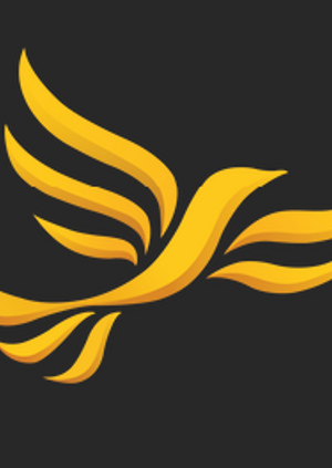 Canvassing - Rayners Lane
