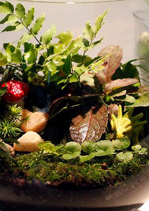 Make Good: Terrariums 