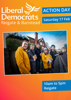 Reigate Action Day