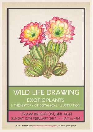 Botanical Illustration Full Day Workshop