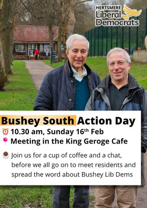 Bushey South Action Day