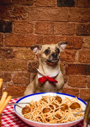 Lady and the Tramp Valentine's Screening - Dog Friendly!