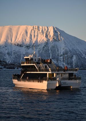 12 Ways to Connect Norwegian Cruises Customer Service via Phone, Email, or Chat Options: Step by Step Guide