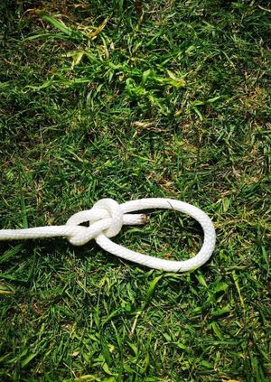 Get Knotted! Discover the wonderful world of knots.