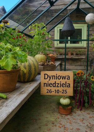Otwarty Ogród Bilety Dyniowa Niedziela