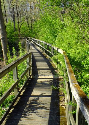 Bourneville Parks Thursday short walk