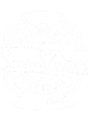 Public Camping - Falmouth International Sea Shanty Festival 2025