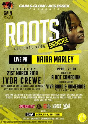 Roots Showcase - LIVE PA from Naira Marley