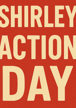 Shirley Canvassing Session