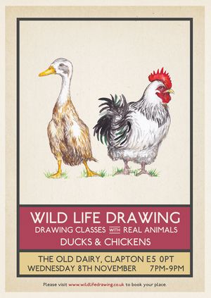 Wild Life Drawing: Ducks & Chickens
