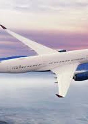 5 Ways to Contact Delta Airline Customer Service Via Phone Number, Email and Chat Options: Complete Guide